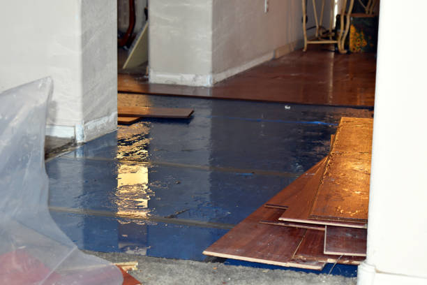 Professional Structural Drying And Dehumidification technician working in Akron, NY